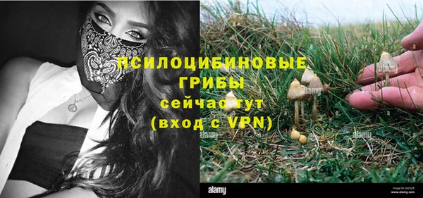 ALPHA PVP Вяземский