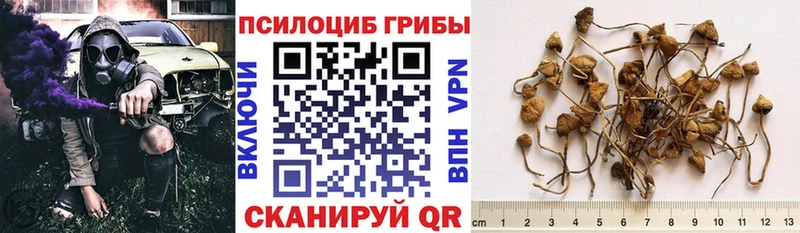 Псилоцибиновые грибы Magic Shrooms  Далматово 